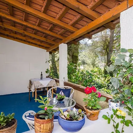 Vera - One-bedroom With Terrace And Sea View Rea *